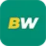 Betwinner logo
