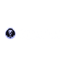 Crypto Leo logo