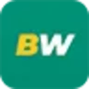 Betwinner logo